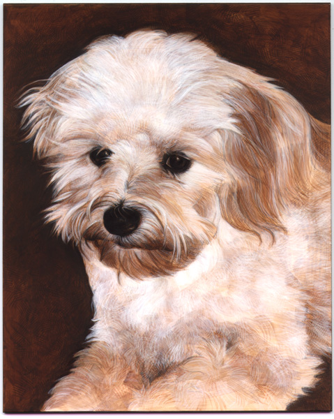 DogPortrait1