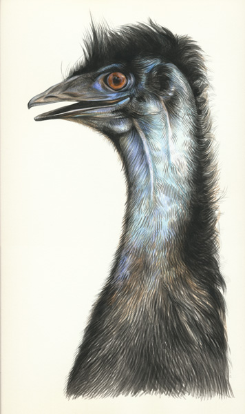 Emu2