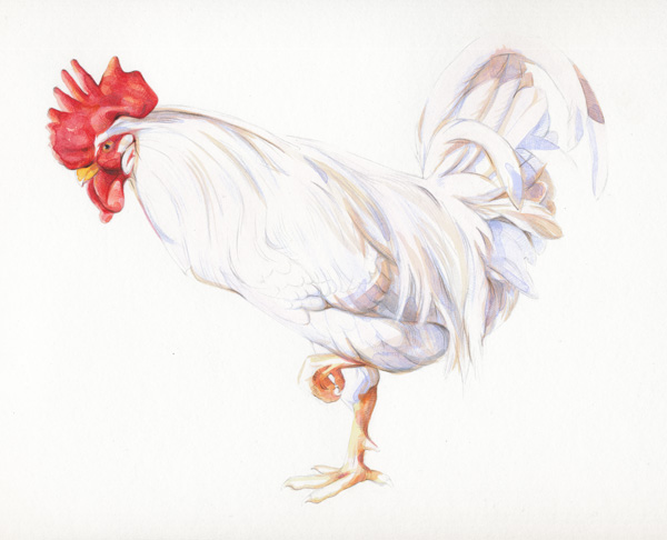 RoosterStep