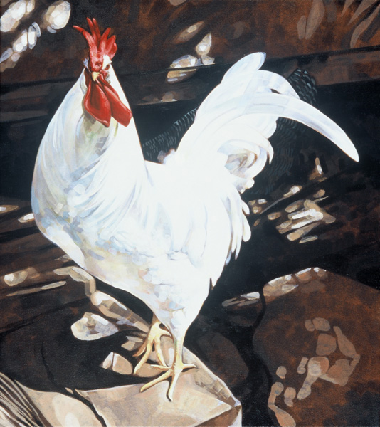 The_Rooster