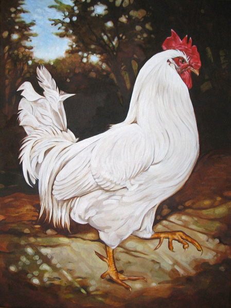 White_Leghorn