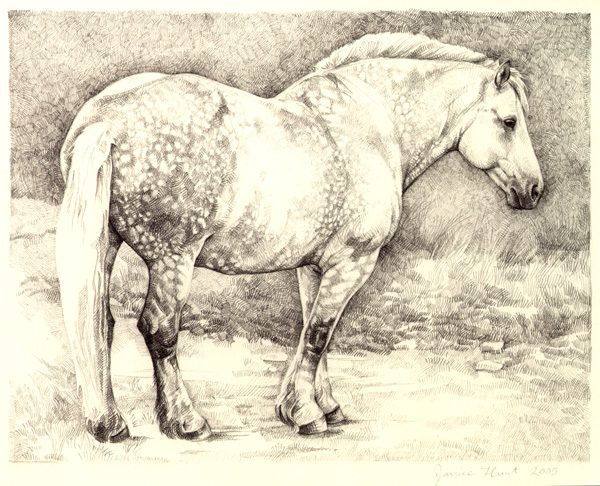 dapplegrey