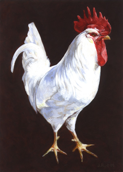 roosterbetter