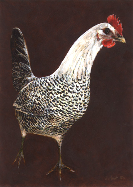 tinyhen