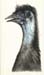 Emu2