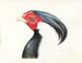 ZooBird2