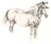 black-pony-drawing